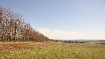 landscape with a fence