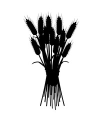 Spikelet of wheat silhouette. Poster or banner for website. Flour products. Minimalist logotype and branding. Natural and organic product, flora and agriculture. Cartoon flat vector illustration