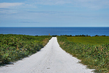 北海道稚内市　宗谷丘陵と宗谷湾

