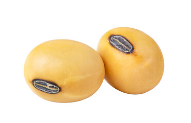 Soybeans seeds on transparent png