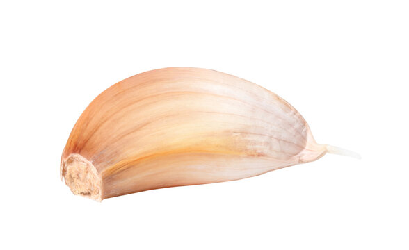 garlic on transparent png