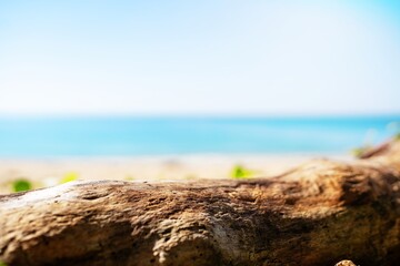 Empty surface of tree trunk on the beach 