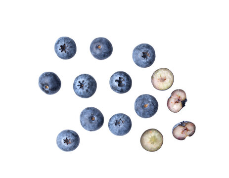 blueberries isolated on transparent png