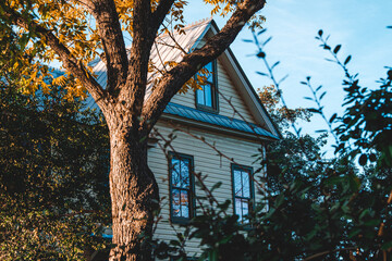 detail of a tree and a house gable