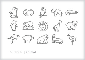 Set of animal line icons found in a zoo or in the wild in nature