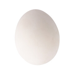 duck egg food nature isolated on white background
