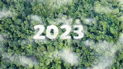 Forest with number 2023 Clouds, Environmental technology concept. Sustainable development goals. SDGs. ESG, NetZero, co2 