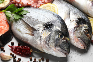 Fresh raw dorado fish, octopus and spices on light grey table, closeup
