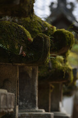 stone lanterns covered in moss in row