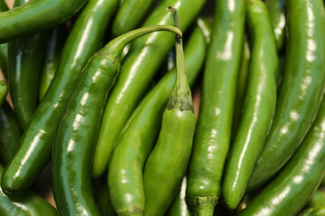 Green hot chili peppers as background, closeup