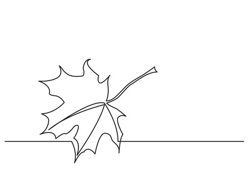 one line isolated vector object maple leaf - PNG image with transparent background