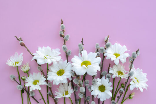 Spring bouquet of flowers of white chamomile or daisies and pussy willow twigs on a pink background. Floral background for Easter holiday, women's day, 8 marh, copy space