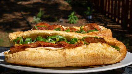 Vietnamese homemade bread. The meal named banh mi and can have different type of ingredients like Italian meats including: Prosciutto, salame, coppa. Topped with omelette, shredded pork, green onion