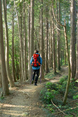 Obraz premium ソロ登山をする男性の後ろ姿