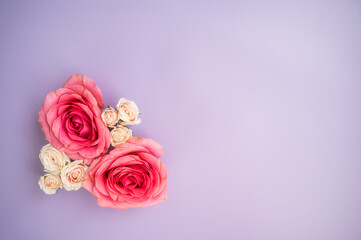 Coral pink roses and light pink spray roses on purple lavender background