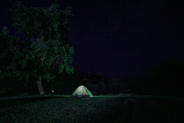 tent in the night by the tree