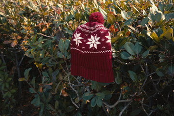 잎에 걸려있는 털모자