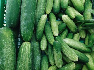 cucumbers in the market