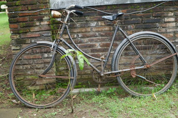 Fototapeta na wymiar old bicycle in the garden