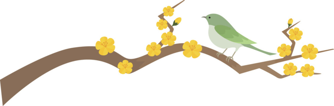 蝋梅と鶯のイラスト