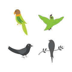 Bird wing Dove Logo