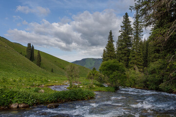 Obraz premium mountain river in the mountains