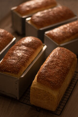 Pan de molde 