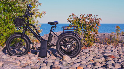 Electric bicycle in the lake park in sunny summer day. Natural lighting. Electric trike or bike E...
