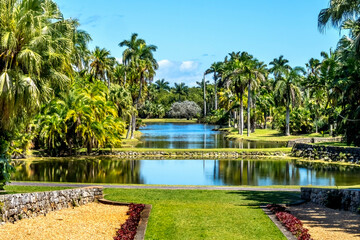 Palm Trees Reflection Fairchild Garden Coral Gables Florida - 560916583