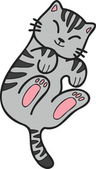 Hand Drawn Sleeping striped cat showing belly illustration in doodle style