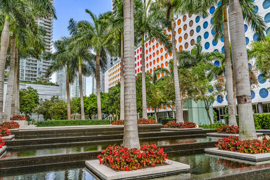 Palm Trees Water Garden Downtown Buildings Miami Florida