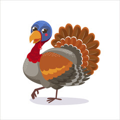 Cute Turkey stands on a white background. Vector illustration with a turkey in cartoon style for children's magazines