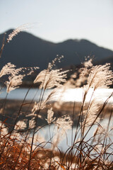 Obraz premium A new picture that you can feel the mood of autumn