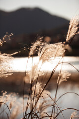 A new picture that you can feel the mood of autumn