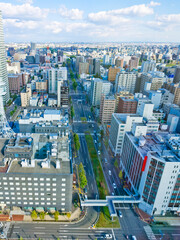 Fototapeta premium Cityscape of Sapporo, Hokkaido, Japan.