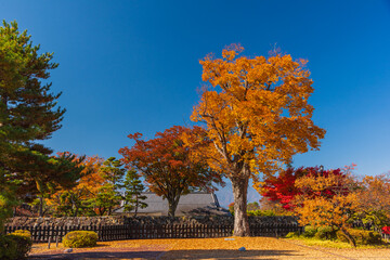 Matsumoto Castle is one of Japan's premier  historic  castle. It is located in the city of Mastumoto ,Nagano prefecture. Castle is surrounded by moat.