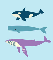 Set of different whales in flat style. Beautiful underwater inhabitants.