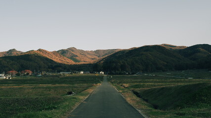 直線