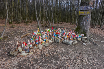 huge group of colorful garden gnomes at a place in the forest