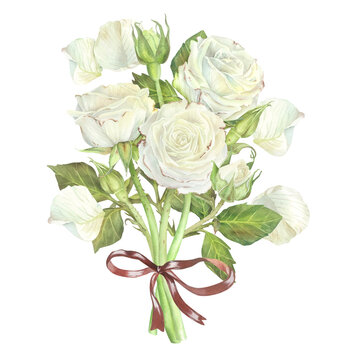 Bouquet of white roses with red bow. Watercolor illustration. Isolated on a white background. For design of sticker, greeting card, cosmetics, wedding invitation, packaging of cosmetics, candles