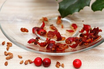 Getting own seeds from berries. Glass plate with squashed red holly berries and seeds.