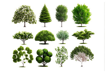 Collection of stunning 3D trees isolated on a transparent PNG backdrop to be used in decorating gardens or in building designs.