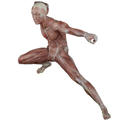 muscle body exercise person with transparent background