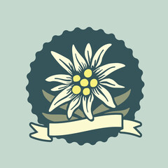 edelweiss flower symbol sign alpinism alps logo	 - 560946724