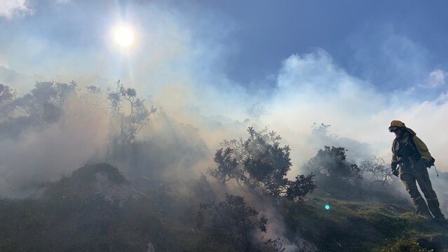 hiker in the mountains, Bomberos Forestales 