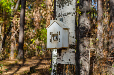 A white birdhouse with a tit on a birch trunk.