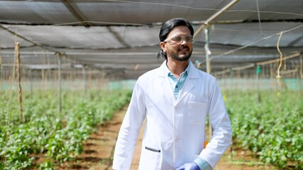 rack focus tracking shot of confident agro scientist walking by seeing around at greenhouse - concept of professional, modern farming and expertise.