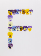 Flower font Alphabet a,b,c,q, r, s, t, made of Real pansy flowers.