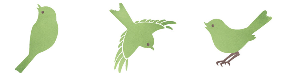 緑の小鳥のイラスト