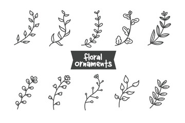 set of floral ornament hand drawn design vector isolated